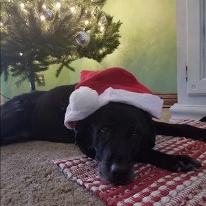 Meet your Posher, Caleb